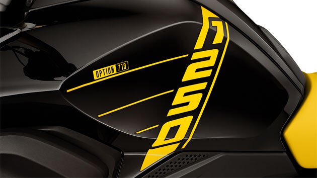 Vemos uma vista superior da R 1250 GS com a inscrição “1250” e o motor Boxer saliente com as tampas da cabeça dos cilindros Billet Option 719.
