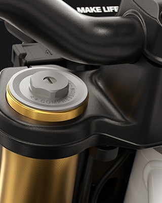 A forquilha invertida dourada de 43 mm da F 450 R da BMW Motorrad