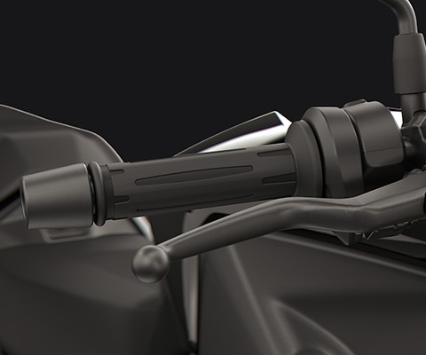 Manetes reguláveis e punhos aquecidos da F 450 R da BMW Motorrad