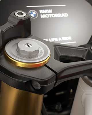 A forquilha invertida dourada de 43 mm da F 450 RR da BMW Motorrad